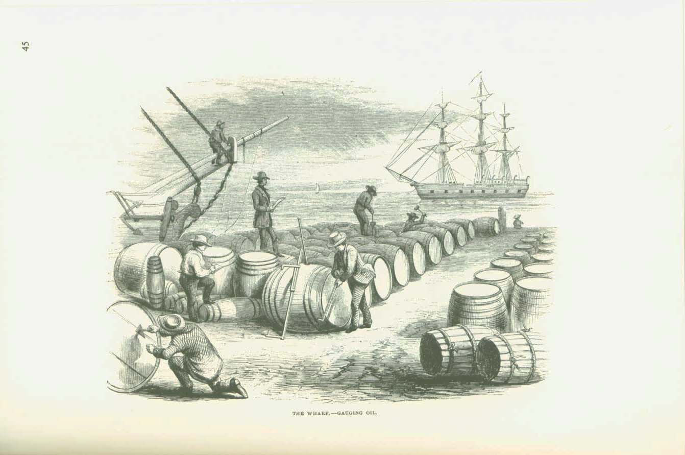 19th century whaling tales. vist0089m
